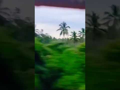 Beautiful nature in train journey