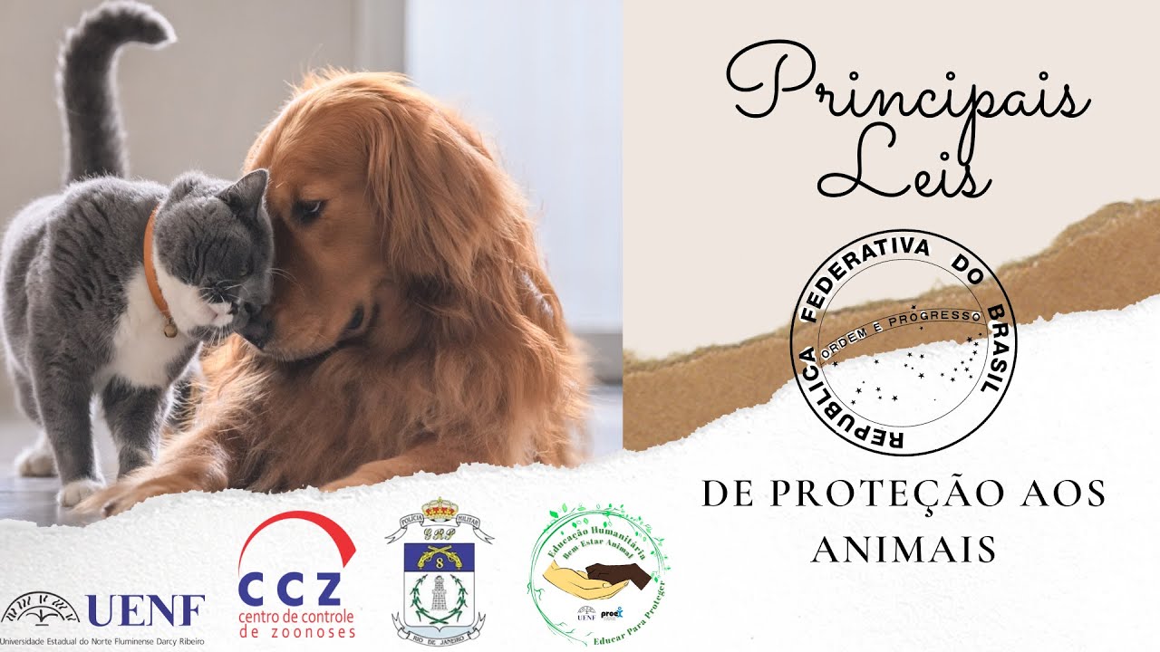Leis de Proteção aos Animais
