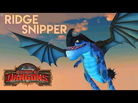 School of dragons: THE RIDGESNIPPER