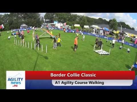 Border Collie Classic Agility A1 Part I