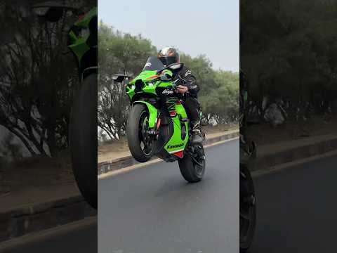 Zx10R Wheelie Sound 🔥 #shortvideo #shorts #trendingshorts #zx10r #kawasaki