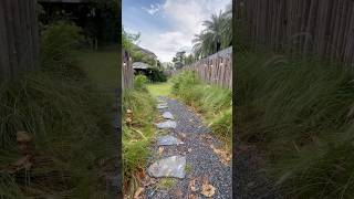 Chonburi Thailand #chonburi #タイ在住 #タイ #kaze #fujiikaze #music