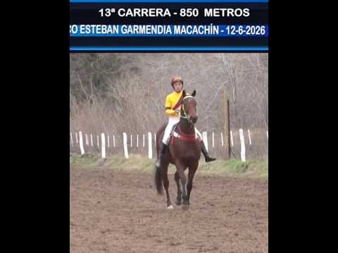 TURF MACACHIN LA PAMPA 12 07 26 Nabasiatic