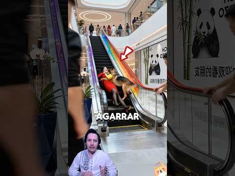 Este Perrito Hizo Algo Que Te Hará Llorar 😢❤️