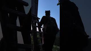 Der alte Waldgeist 🇦🇹 Auf Bockjagd mit dem Berufsjäger von @WildfilmAustria