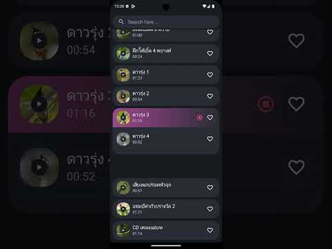 Red-whiskered bulbul Sounds Video