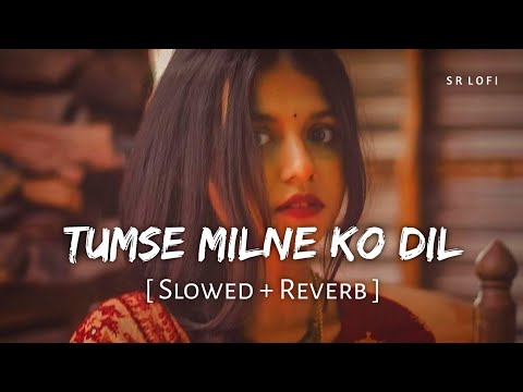 Tumse Milne Ko Dil Karta Hai (Slowed + Reverb) | Kumar Sanu, Alka Yagnik | SR Lofi