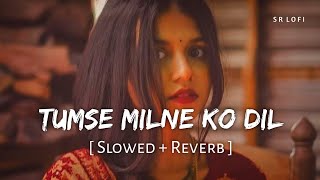 Download lagu Tumse Milne Ko Dil Karta Hai (Slowed   Reverb) | Kumar Sanu, Alka Yagnik | SR Lofi mp3