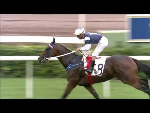 2/5/2021 (639) The Hulk - K Teetan