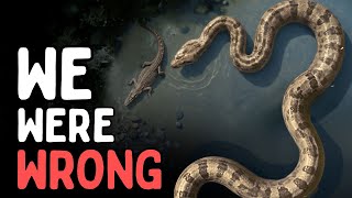 We Were Wrong About Titanoboa — The New Evidence