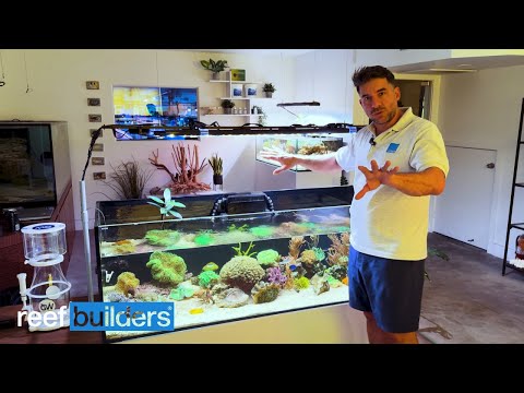 Touring The Cleanest Aquarium Show Room + High Tech Water Testing Lab