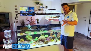 Touring The Cleanest Aquarium Show Room + High Tech Water Testing Lab