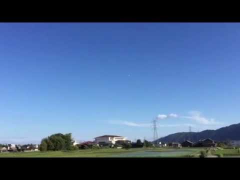 会計学科 鳥が飛んでいるのがわかりますか？  滋賀県高島市安曇川町  木村勝則