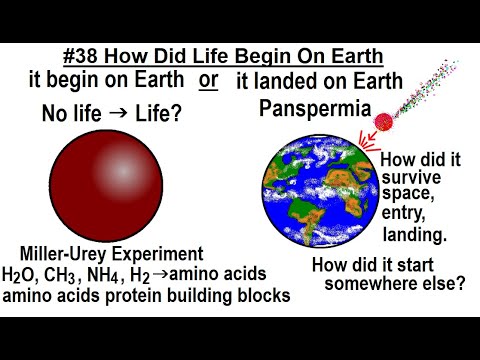 Geometry Ch 2 Reasoning and Proofs 38 of 46 How to Determine the Next Number