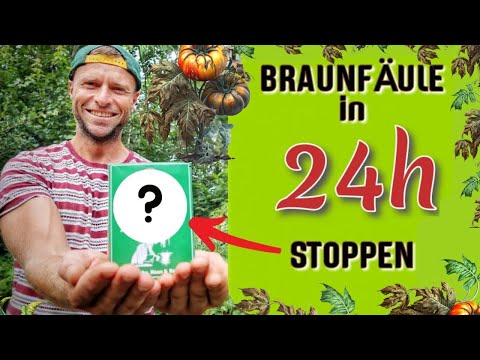 , title : 'Braunfäule in 24 Stunden STOPPEN 🍅'