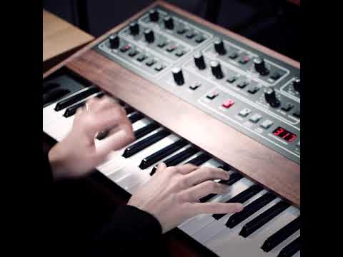 some synth bass on the prophet 5 with j3po