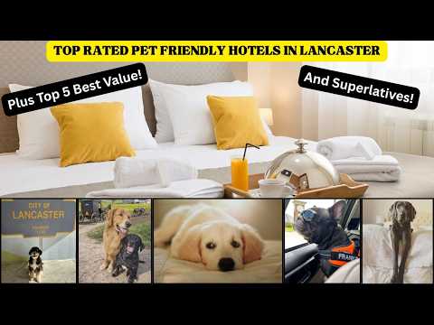 Hampton Inn Pet Friendly