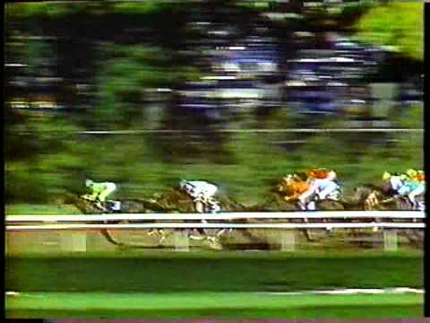 Devil's Bag - 1983 Champagne Stakes