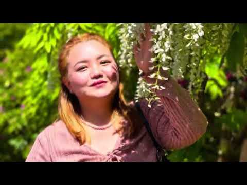 Fulthunge Rani#cover song# sujan chapagain# Rashmi subhara, japan🇯🇵🇳🇵