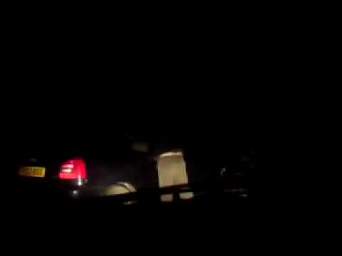 Police pull over sgt poozy