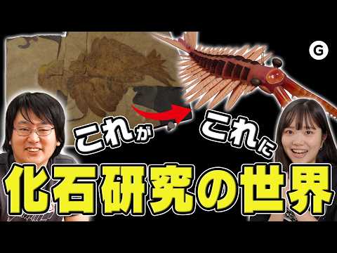 えびせんから立体に🦐 化石研究の世界が深すぎた【大絶滅展】