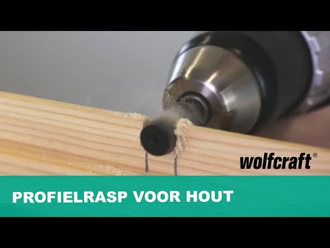 4376000-4379000_Rotary-Rasp-for-Wood-hexagon-shank_PRO_MCP_nl_2017.mp4
