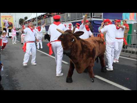 Não precisa-grupo carnaval ovar 2015