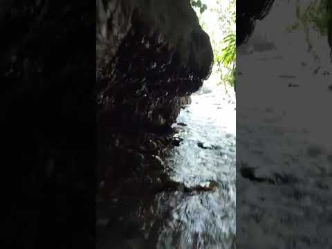 Estrecho del río Oponcito. Municipio del Carmen de Chucurí, Santander. #naturaleza #cascadasnieto