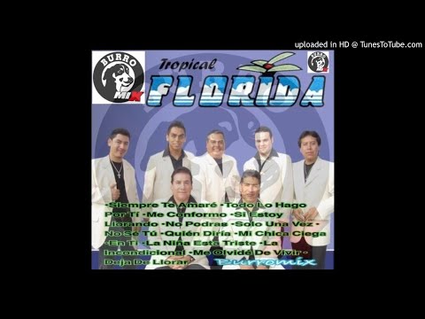 Tropical Florida MiniMix (Burromix)