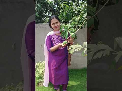 My Favourite Fruits#Indian Food