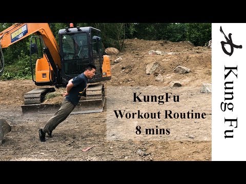 KungFu Workout Routine 8 mins