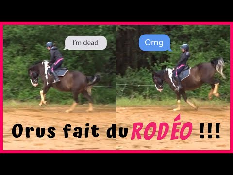 [COURS GOPRO] Séance sur le contre-galop ! 13/06/20 - CS'o Landreau