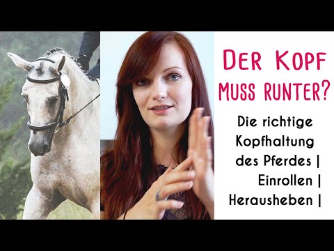 The main thing is head down? The correct head position of the horse | What to do if the horse cur...