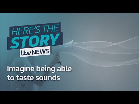 Synaesthesia: the experience of senses through other senses is taking TikTok by storm | ITV News