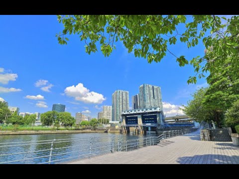 動画サムネイル