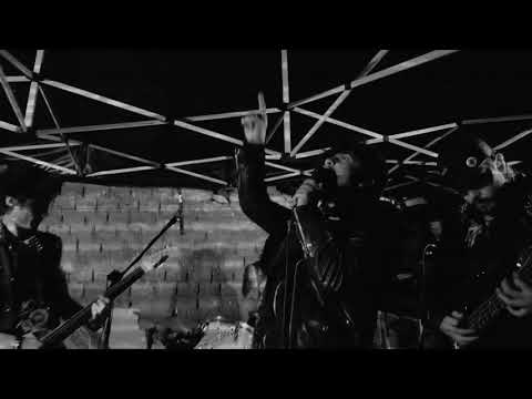 114 CABINA DEL TERROR - LA    ÚLTIMA ESPECIE DEL MONO