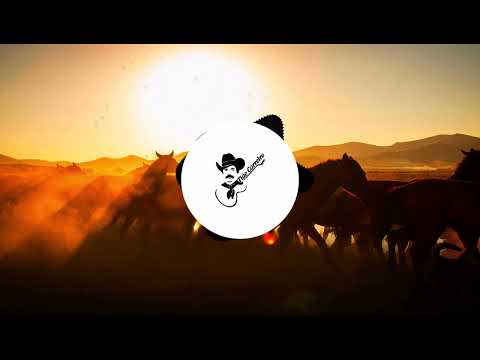 O Gavião e a Andorinha - Tião Carreiro e Pardinho_Sertanejo Raiz_Modão Sertanejo🍀🎶