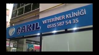 Minik dostlarınızın yeni adresi; Çakıl Veteriner Kliniği