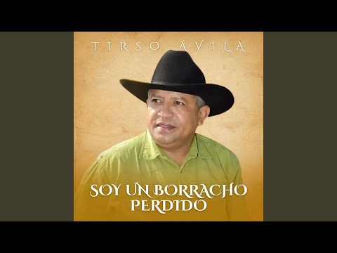 Soy Un Borracho Perdido