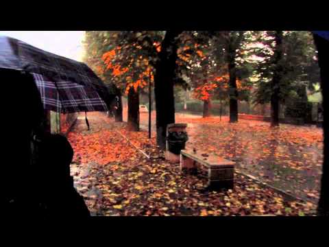 Poggio Rusco Fall Rain