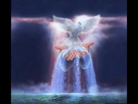 Tú Guías Mi Destino