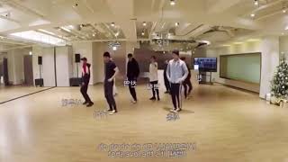 EXO (엑소) - Love Shot - Dance Chorus mirrored
