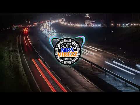 Perfect spot [Weedii Remix🇻🇺] 2026