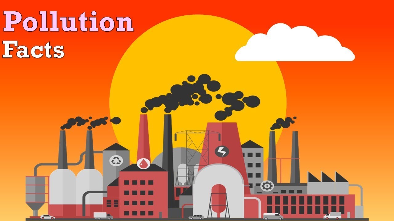 15 Shocking Facts About Pollution