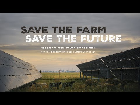 Save the Farm, Save the Future | Official Trailer #agrivoltaics #smallfarmers #climatechange #solar