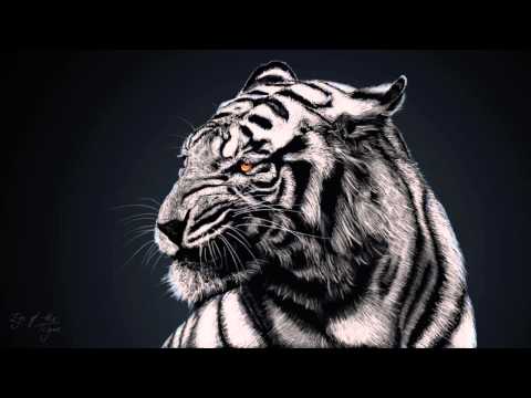 Soltan & Omar Varela - Bhangra Fighters