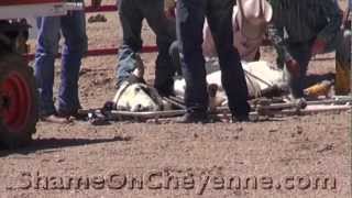preview picture of video 'Back-to-Back Steers Injured at Cheyenne Rodeo'