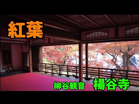 [Kyoto] Templo Yanagidani Kannon Yangokuji y cafetería comedor en la granja Ogura Sanso con hojas de otoño