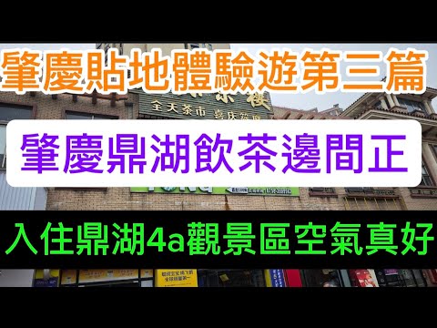 食物美味好食到唔捨得走/入住4a觀景區酒店性價比高嗎？鼎湖真的退休養老好地方嗎？