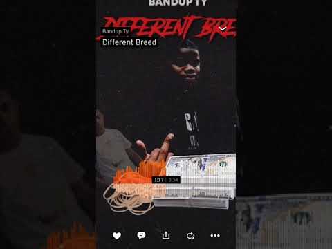 Bandup ty different breed